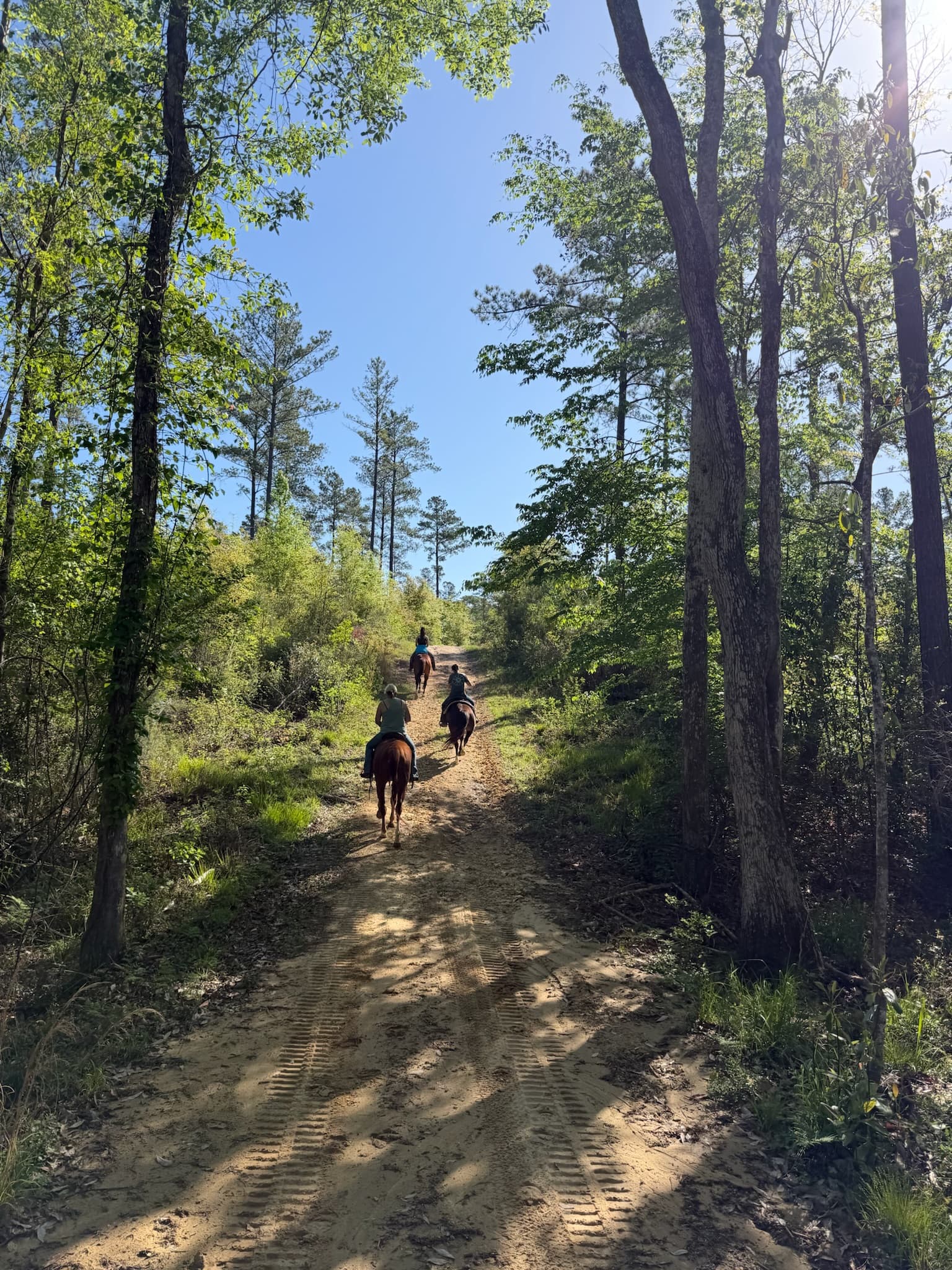 Horseback riders on a wooded trail at River Woods Ranch
