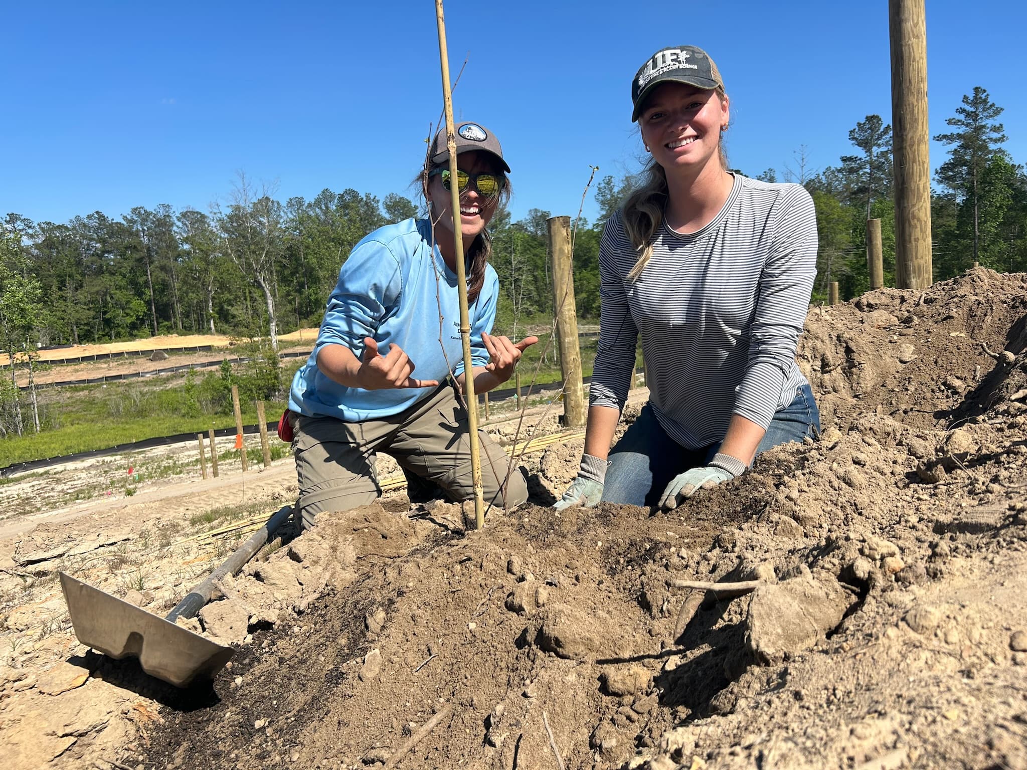 The team planting vineyard posts at River Woods Ranch